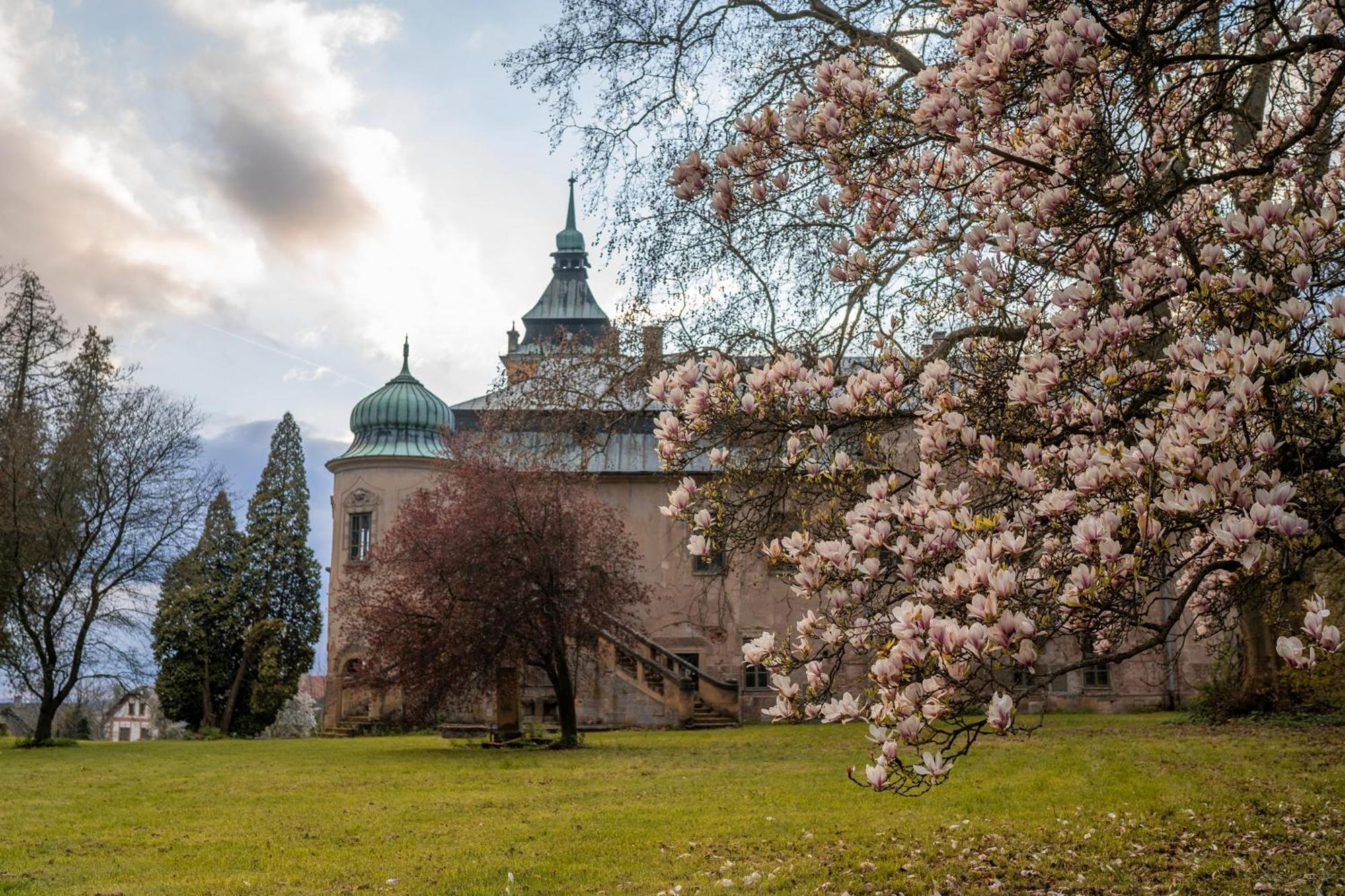 Apartmán Zámecký areál Holovousy Exteriér fotografie